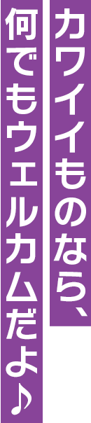 暁山瑞希 25時 ナイトコードで Character プロジェクトセカイ カラフルステージ Feat 初音ミク